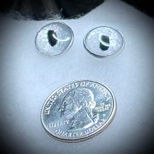Earrings Stud - Starlight Focus